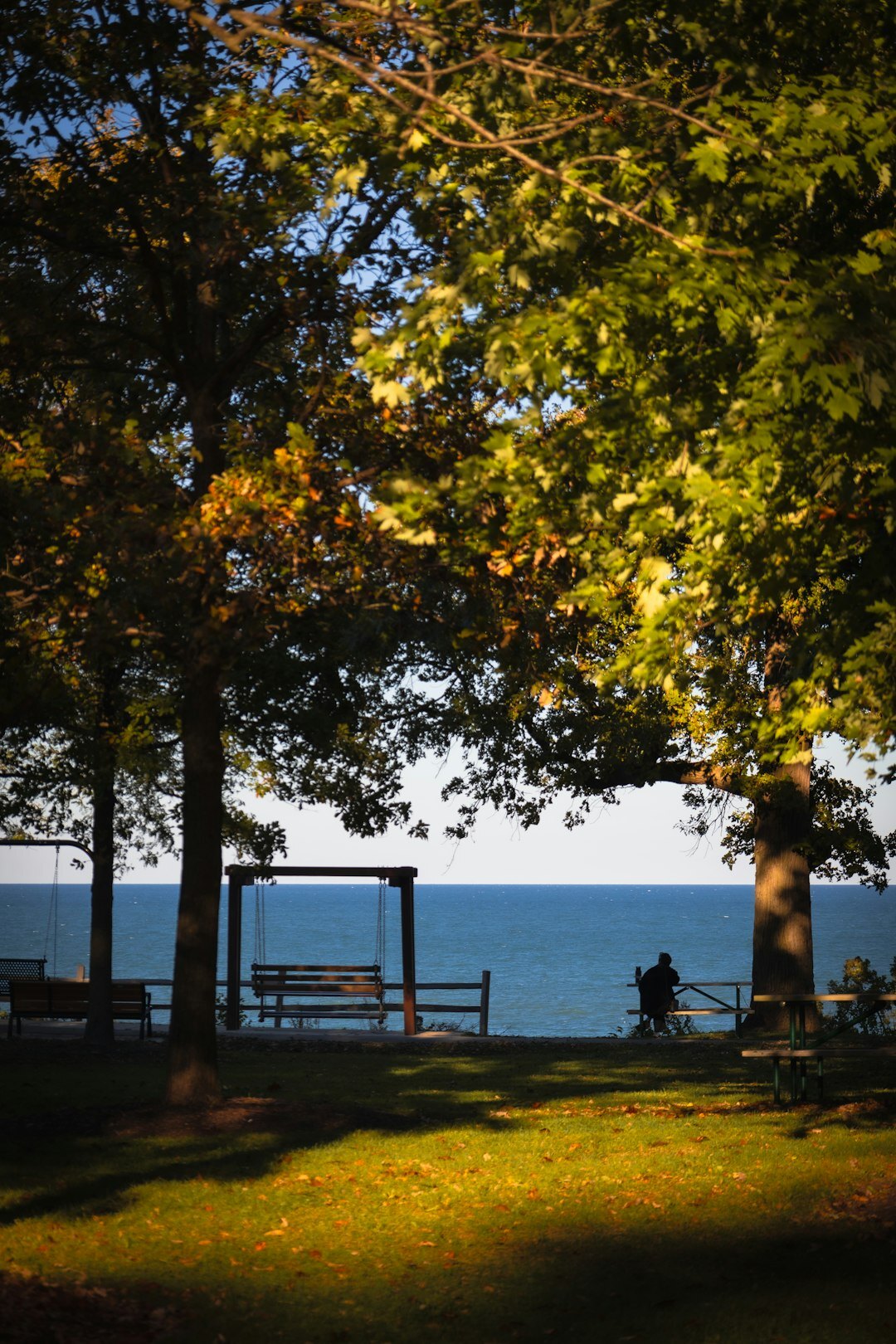 serene landscape with person relaxing